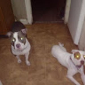 Meet your Posher, Cory